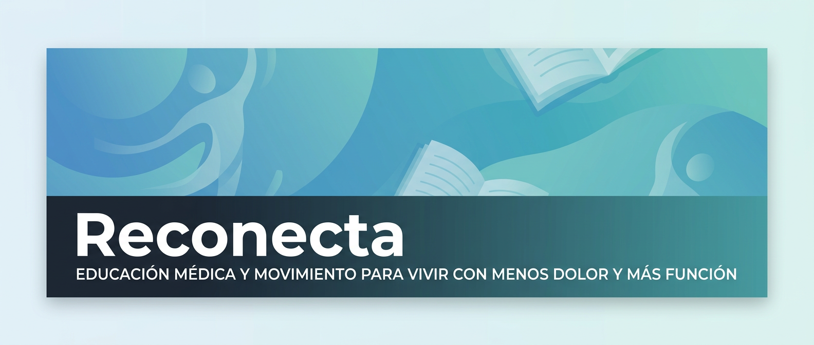 Newsletter header for Reconecta